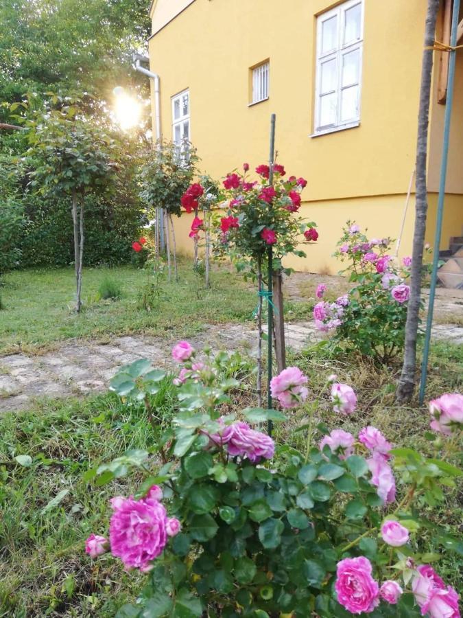Szorcsik Ház 1913 Apartman Zenta Kültér fotó